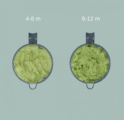 Babymoov Nutribaby One 4in1 beebiköögikombain