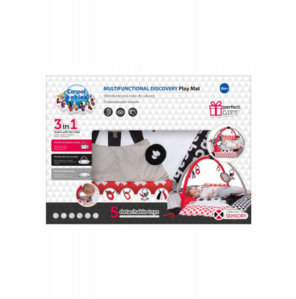 Lavinamasis kilimėlis Canpol Babies Multifunctional Discovery Play Mat, 110 cm x 110 cm