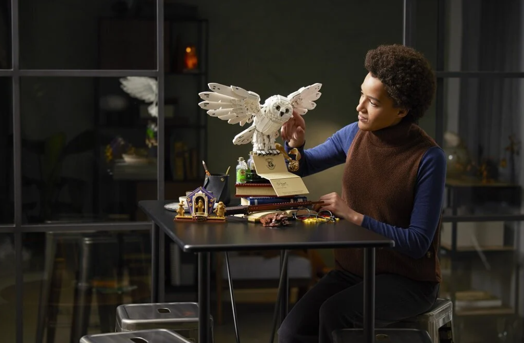 LEGO® Harry Potter Hogvartso ikonos 76391