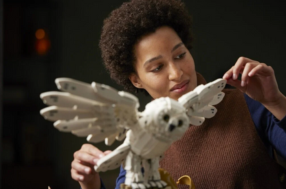 LEGO® Harry Potter Hogvartso ikonos 76391