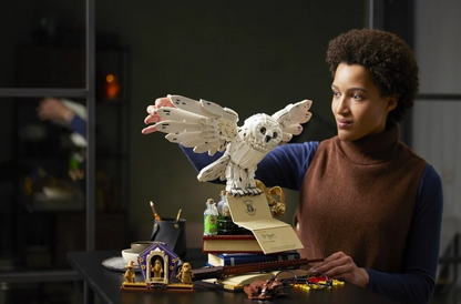 LEGO® Harry Potter Hogvartso ikonos 76391