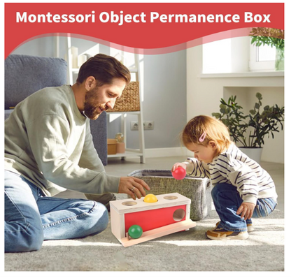 Montessori medinė objektų pastovumo dėžutė su kamuoliukais (9 – 18 mėn.)