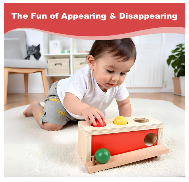 Montessori medinė objektų pastovumo dėžutė su kamuoliukais (9 – 18 mėn.)
