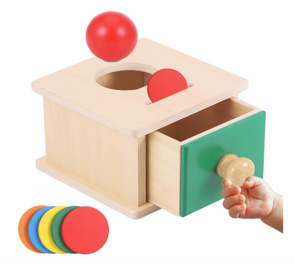 Montessori medinė monetų dėžutė 2in1 (6 mėn. – 3 m.)