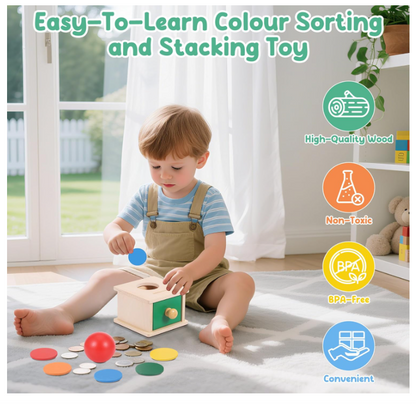 Montessori medinė monetų dėžutė 2in1 (6 mėn. – 3 m.)