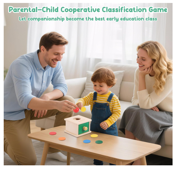 Montessori medinė monetų dėžutė 2in1 (6 mėn. – 3 m.)