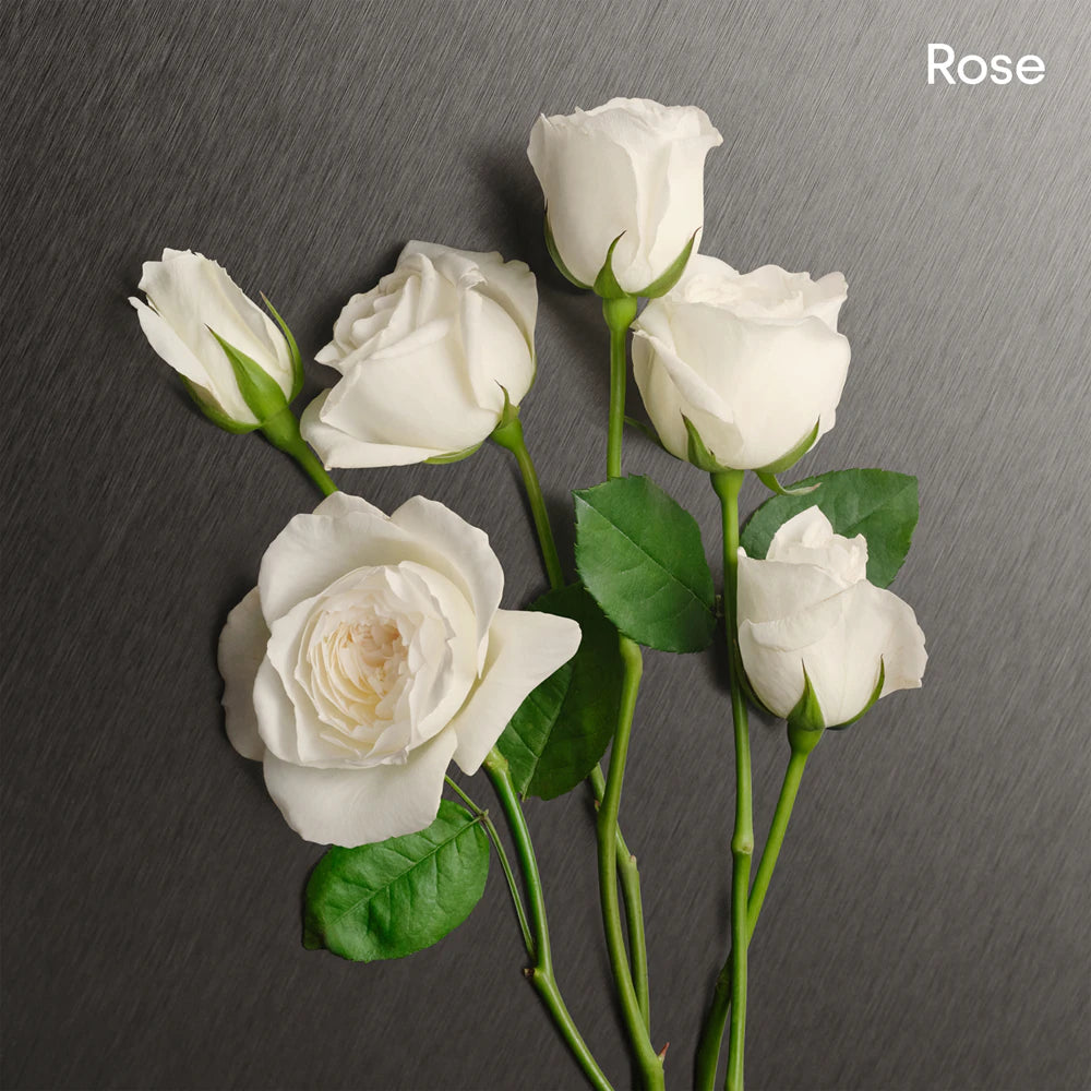 Calvin Klein Eternity For Women – moteriškas parfumuotas vanduo 100 ml